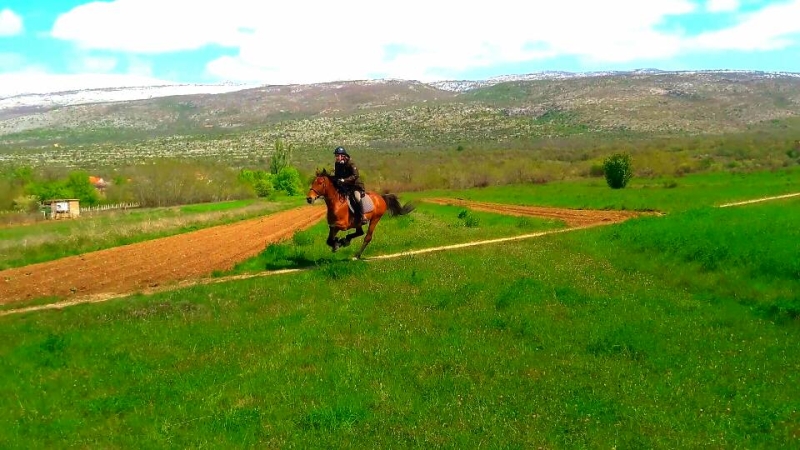 séjour cheval en Croatie