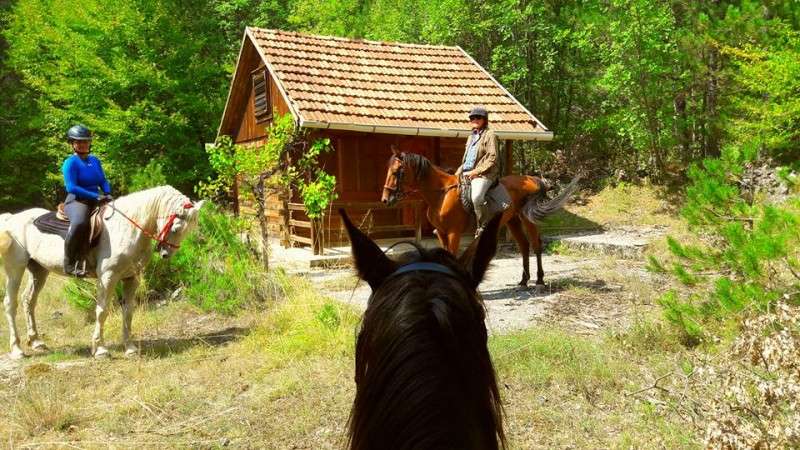 vacances et équitation en Croatie