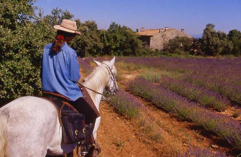 tour du Luberon à cheval