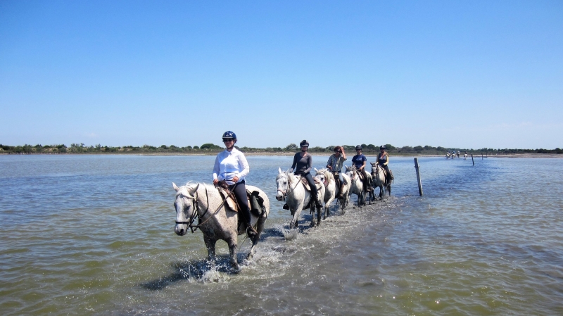 semaine cheval Camargue