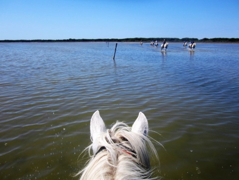 rando cheval Camargue