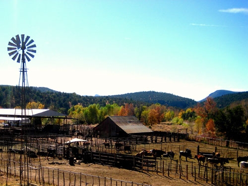 USA : SEJOUR RANCH DANS L'ARIZONA