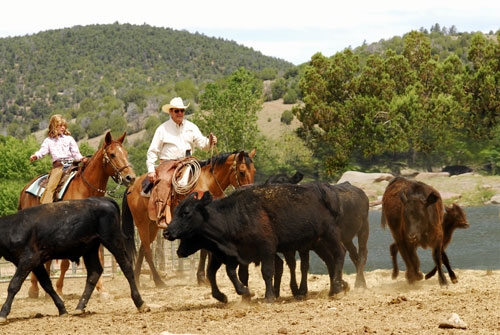 USA : SEJOUR RANCH DANS L'ARIZONA