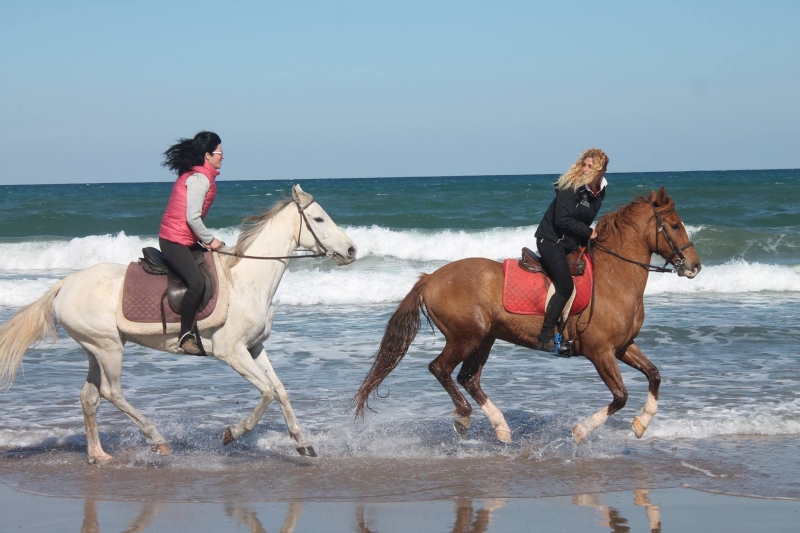 rando à cheval sportive