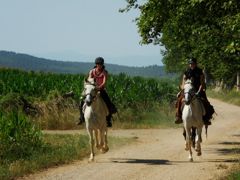 randonnée à cheval sportive