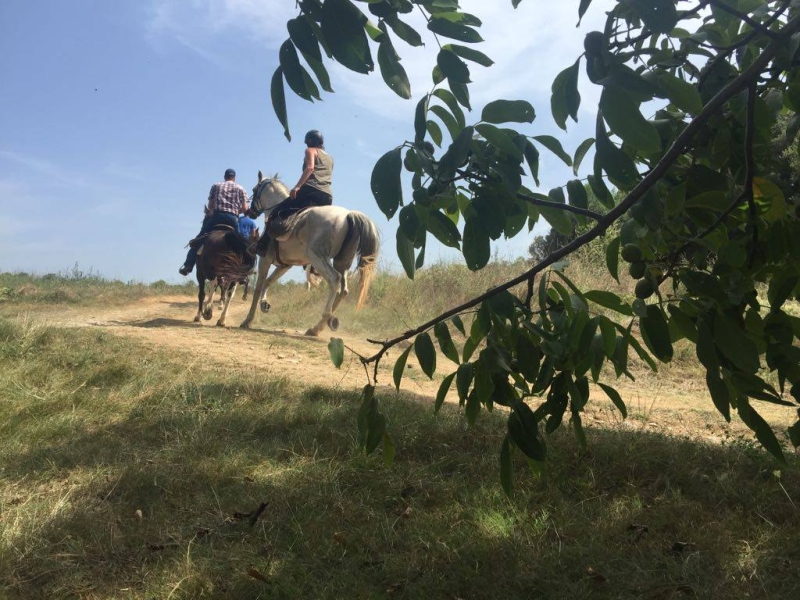 rando à cheval sportive