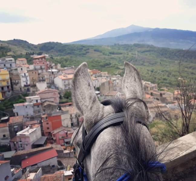 semaine à cheval en Italie