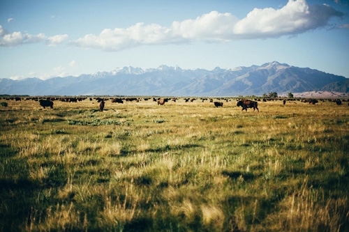 sejour ranch a cheval USA