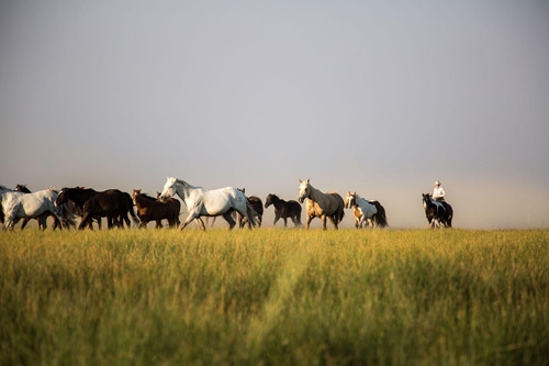 sejour ranch a cheval Colorado