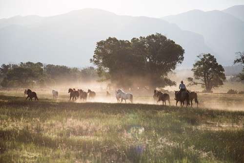 randonnée à cheval ranch USA