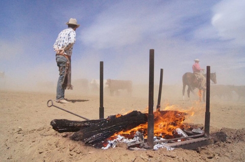 semaine a cheval ranch Usa