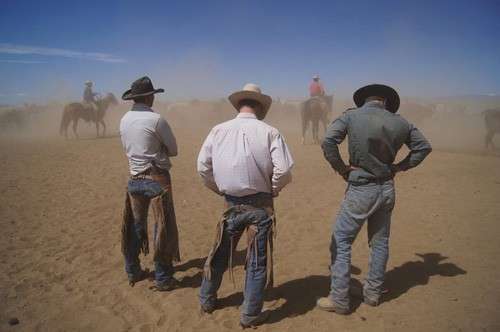 vacances a cheval ranch Usa