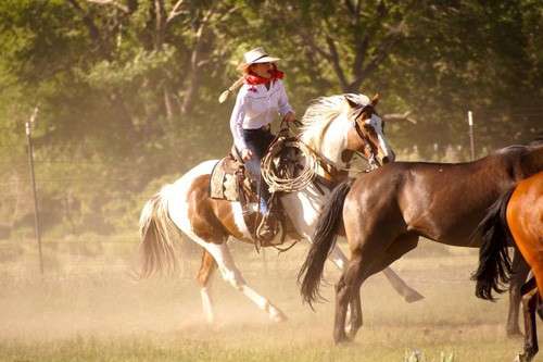 semaine equestre ranch Usa Colorado