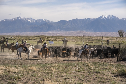 travail du betail a cheval ranch Usa