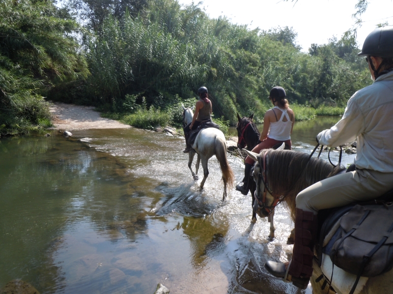 rando équestre en Espagne