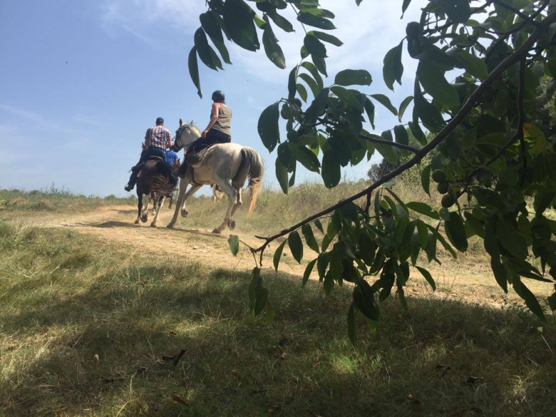 randonnee reveillon a cheval Espagne