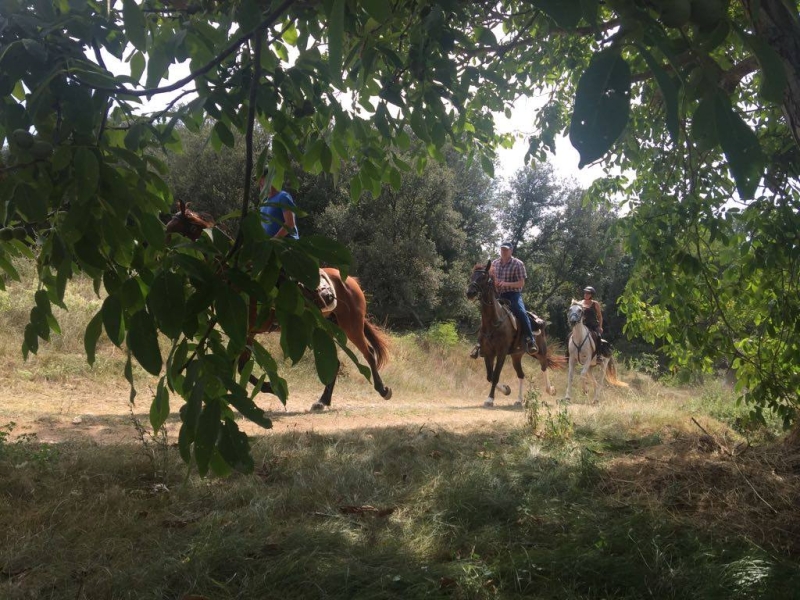 vacances a cheval en hiver en Espagne