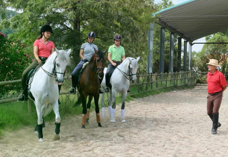stage dressage cheval Portugal