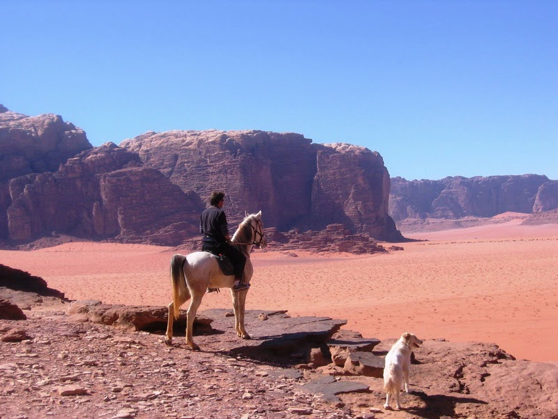 rando cheval Wadi Rum  Jordanie