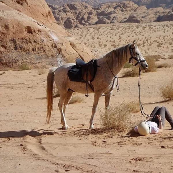 rando à cheval Jordanie Noel