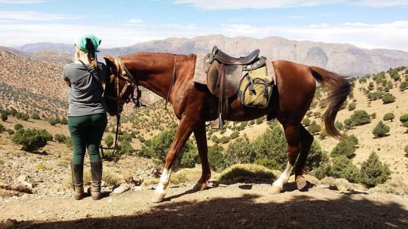 trek equestre au Maroc