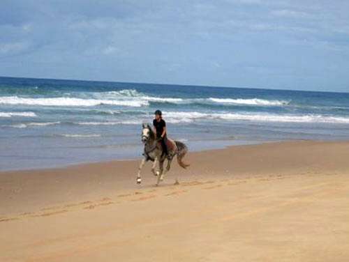 vacances à cheval en Australie