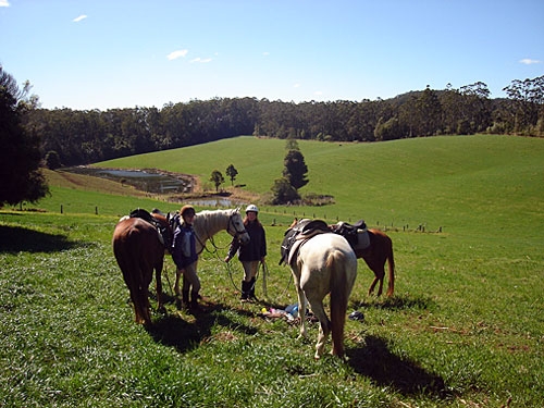 Australie rando à cheval