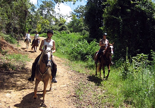 Australie randonnée à cheval