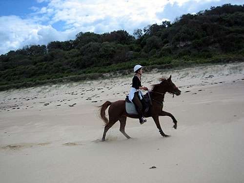 voyage à cheval Australie