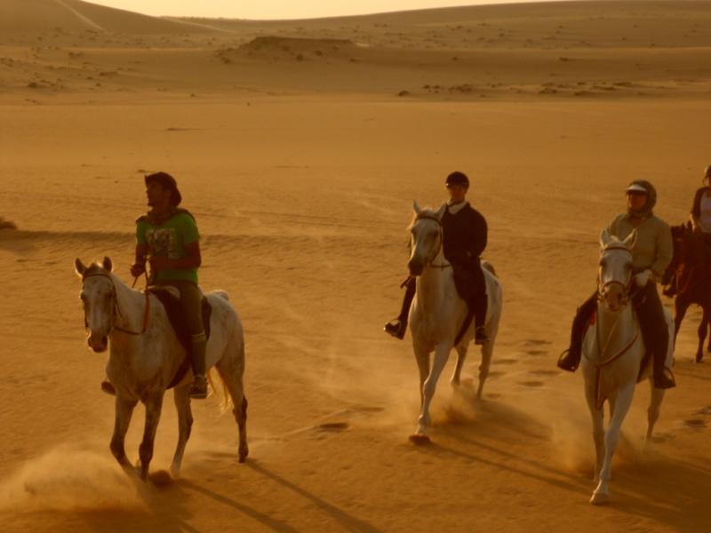 Oman en rando à cheval