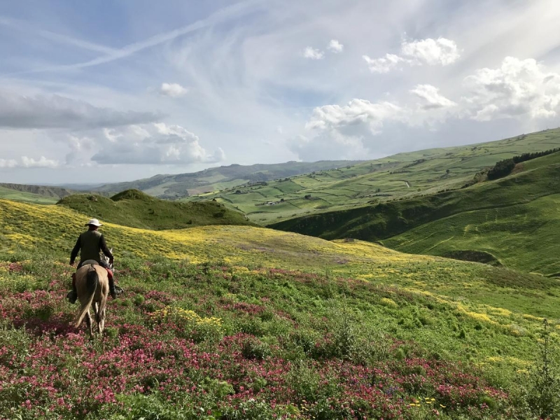 rando à cheval en Sicile