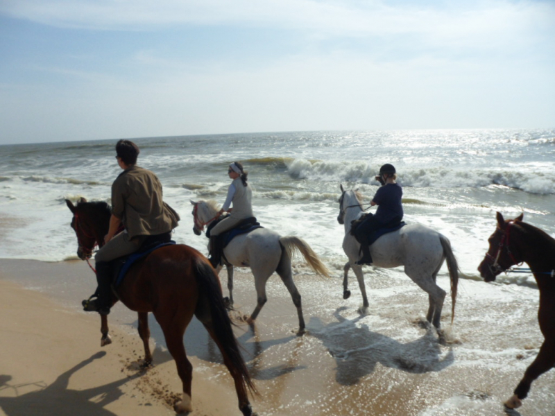 équitation à Oman