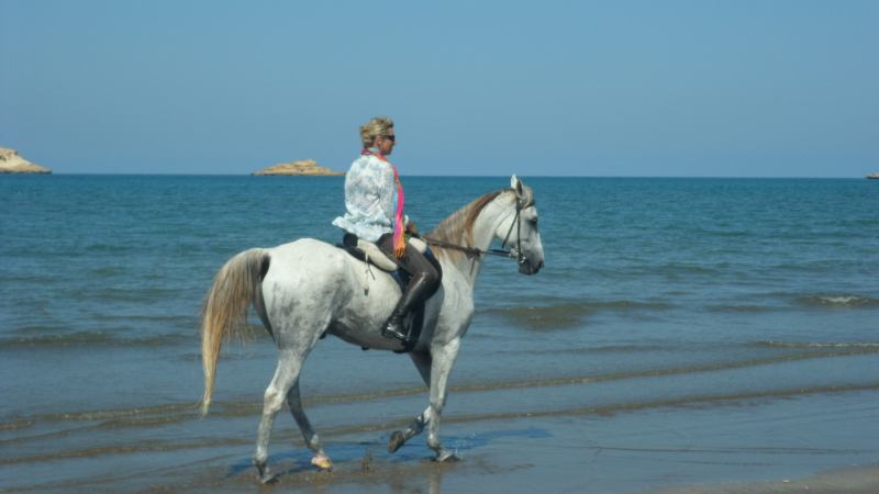 découvrir Oman à cheval