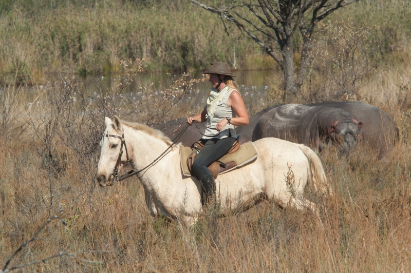 ou faire un safari à cheval