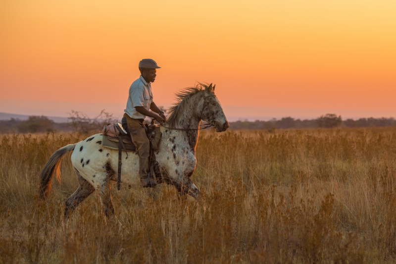 rando safari à cheval