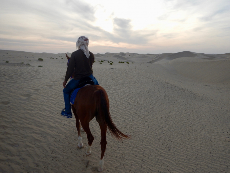 Oman rando cheval