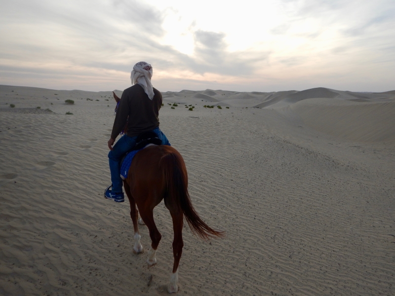 Oman rando cheval