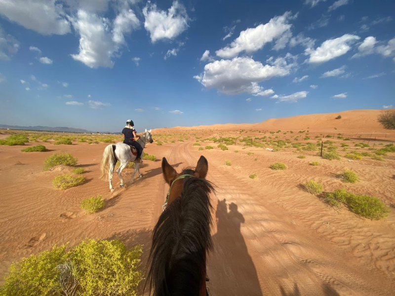 à cheval à Oman
