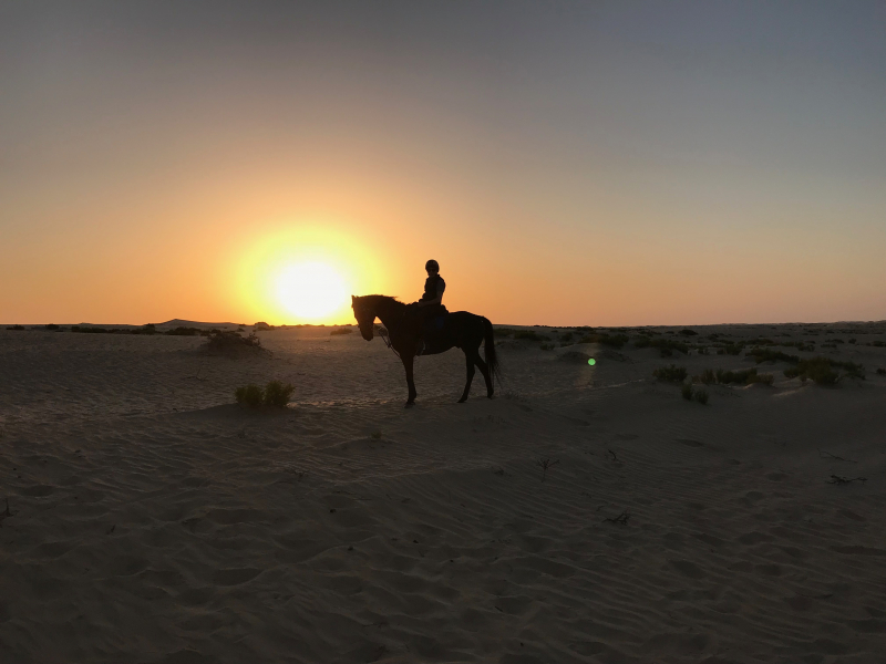 Oman en vacances avec cheval