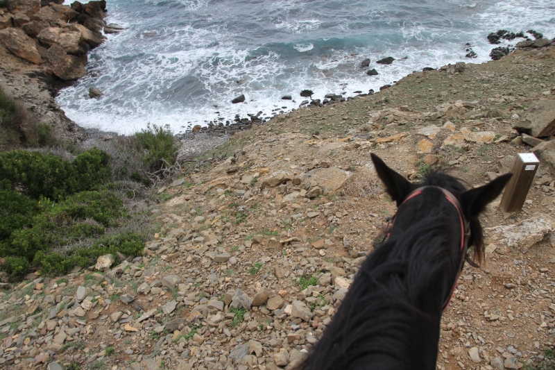 Vacances à cheval à Minorque