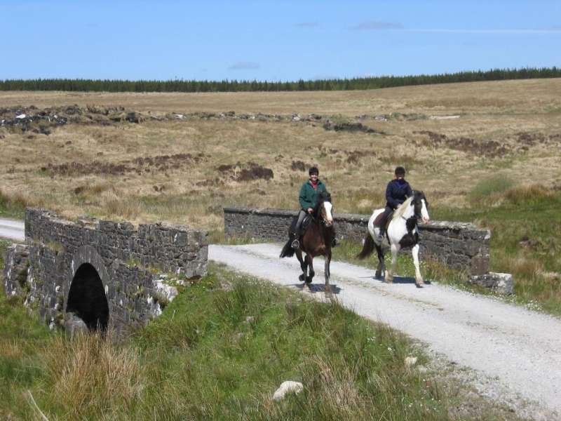 stage cheval en Irlande