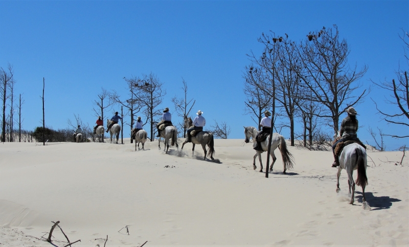 rando à cheval Brésil