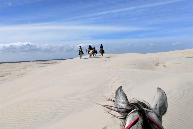 semaine à cheval au Brésil