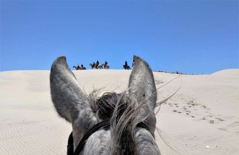 voyage à cheval au Brésil