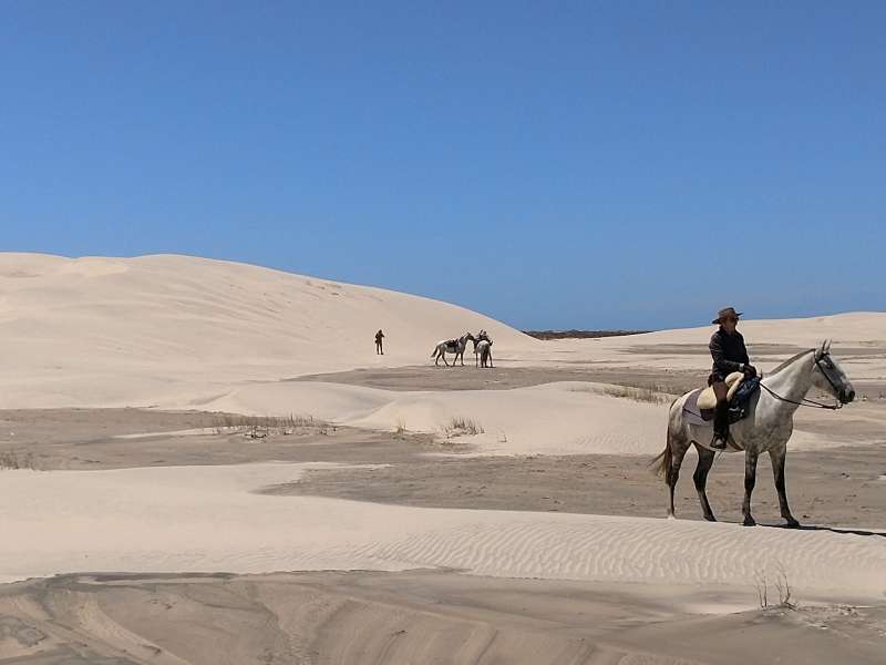 trek à cheval au Brésil