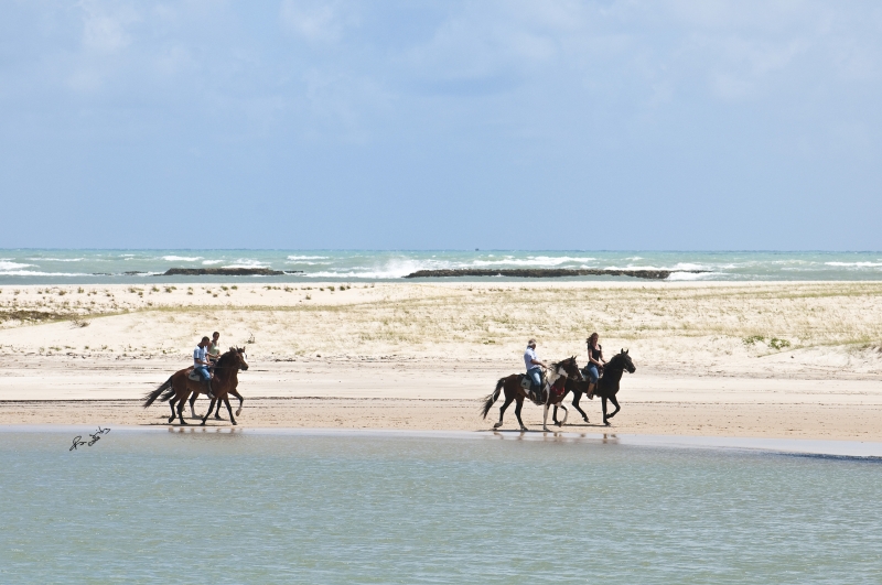 rando à cheval au Bresil