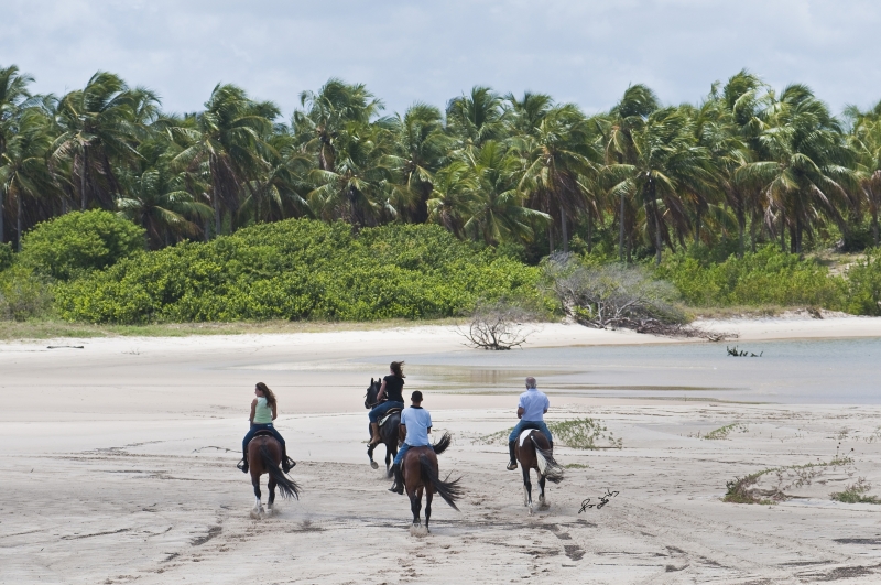 a cheval sur les plages au Bresil