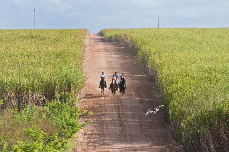 voyage à cheval au Bresil