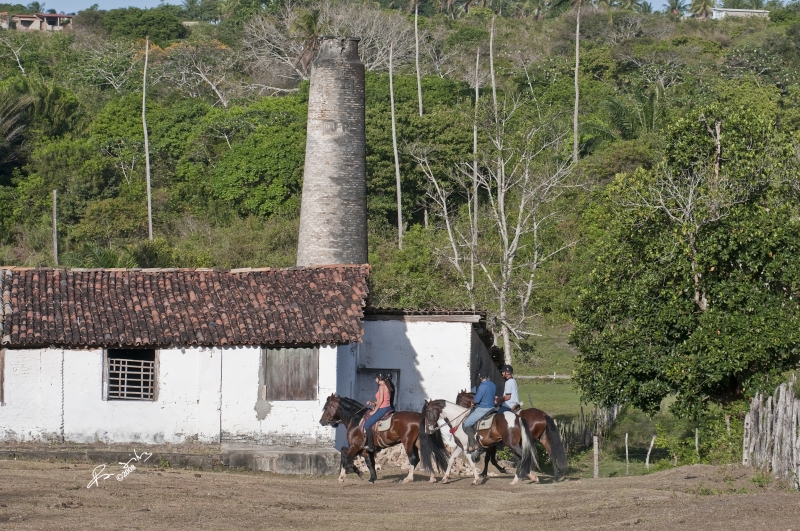 Le Bresil a cheval