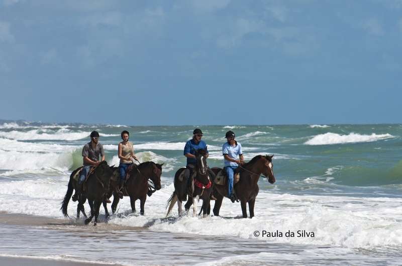 semaine équitation au Brésil
